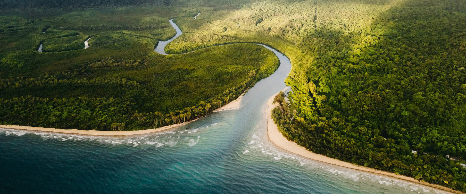 What should I expect visiting the Daintree Forest and Bloomfield?