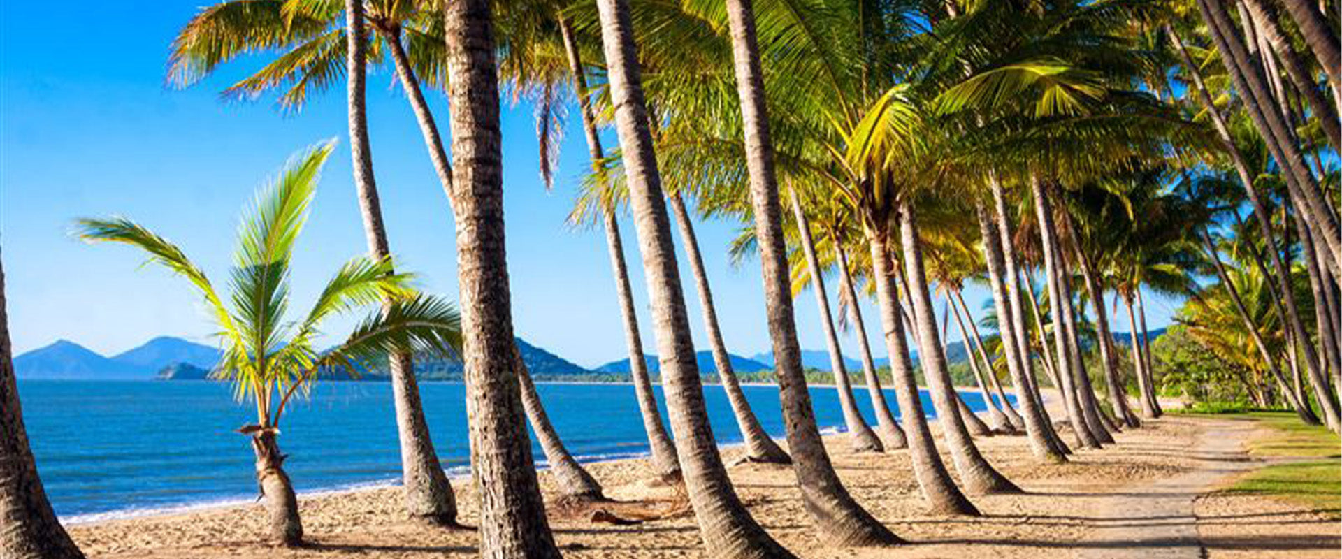 Palm Cove Village
